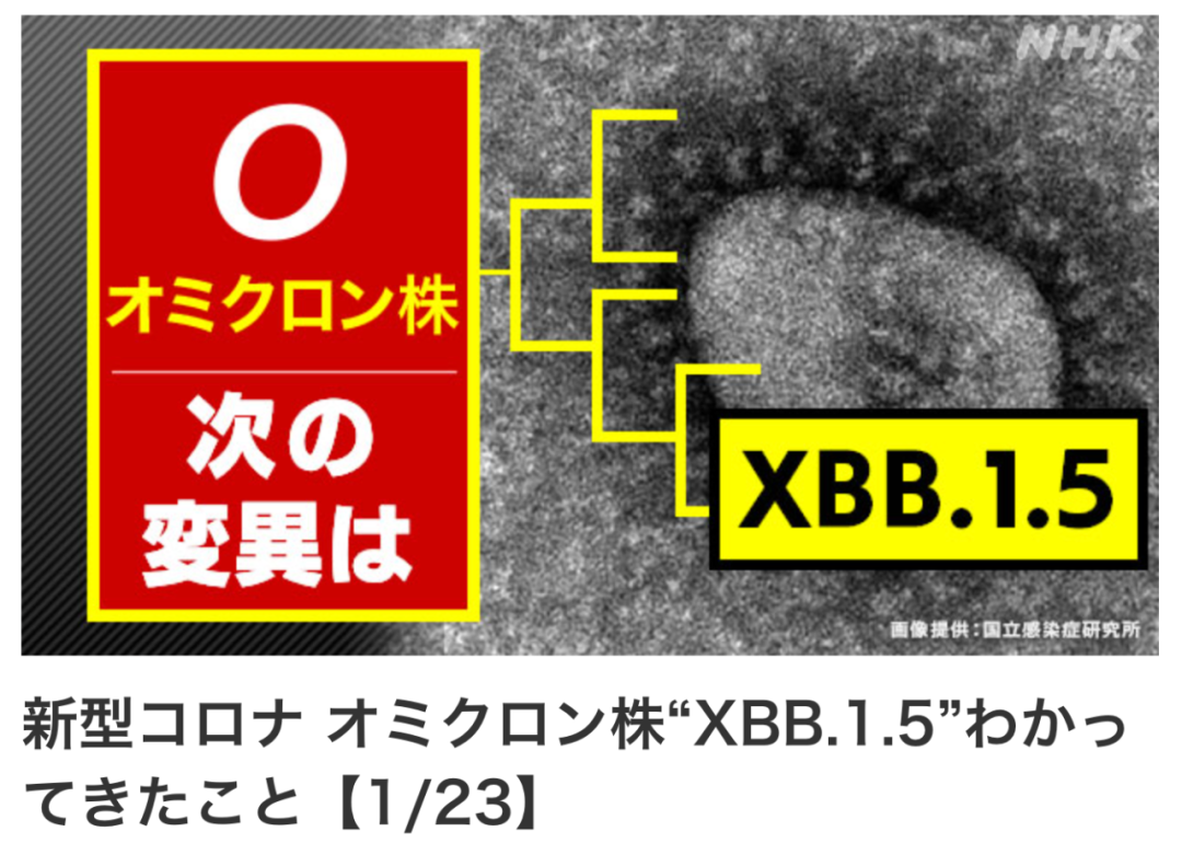 日本时事｜日本检测出新冠新毒株XBB.1.5 ！最强寒潮，暴风雪席卷日本！东京电力申请再上调30%电价！