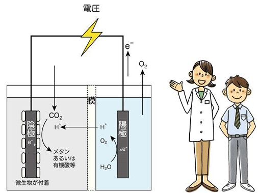 纽澜考学 | EJU化学必考的知识点「电气分解」大解析！