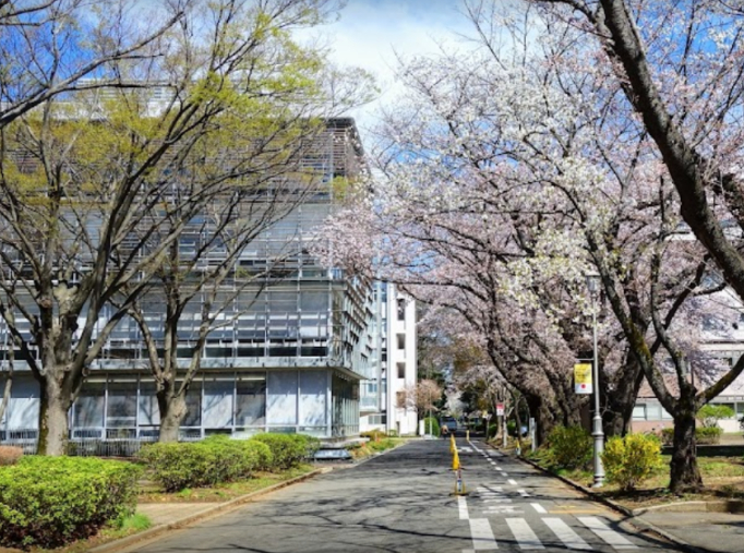 纽澜考学| 千叶大学这些专业要出愿了！募集要项都整理好了！